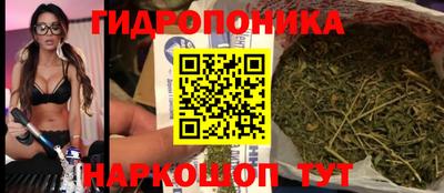 Альфа ПВП Краснодар