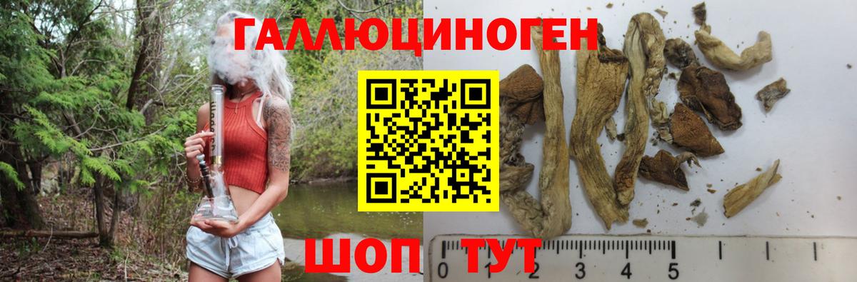 Псилоцибиновые грибы мухоморы Кандалакша
