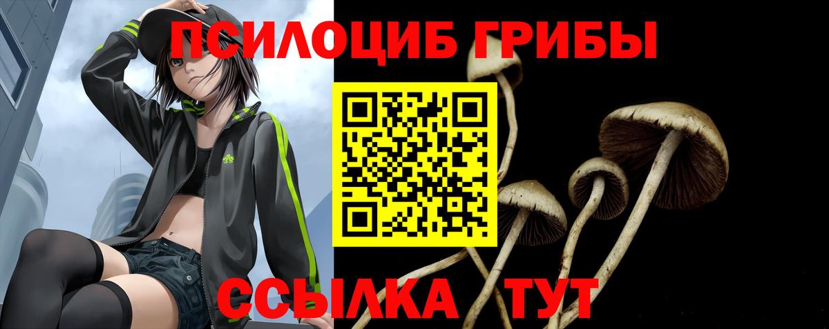 Галлюциногенные грибы прущие грибы  Вход с VPN  Кандалакша  Псилоцибиновые грибы мицелий 